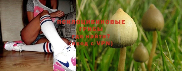 спайс Алексин