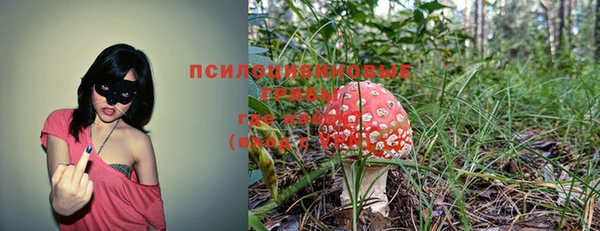 МДМА Алексеевка