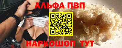 эйфоретик Кингисепп