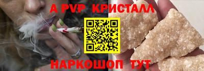 эйфоретик Кингисепп